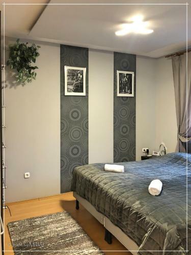 Csi - Pet Apartman