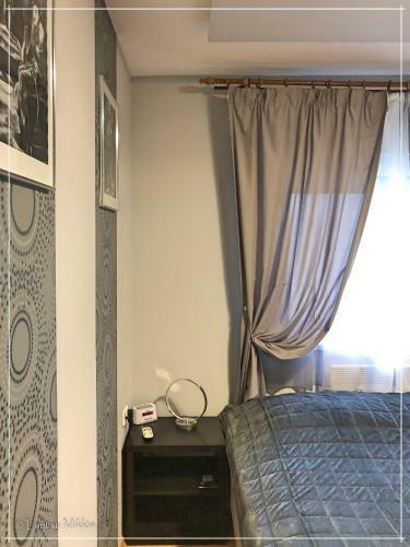 Csi - Pet Apartman