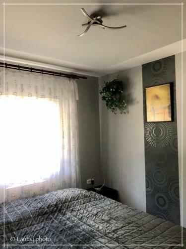 Csi - Pet Apartman