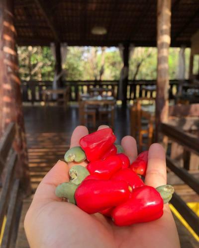 Posada Pousada Recanto Guara