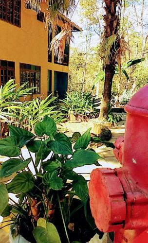 Hotel Pousada Aroeiras Caf� Bar