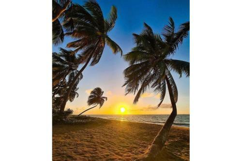Hostal Mar� Su�tes Patacho