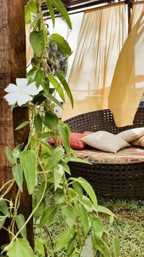 Hostal Chal�s E Camping Bela Vista