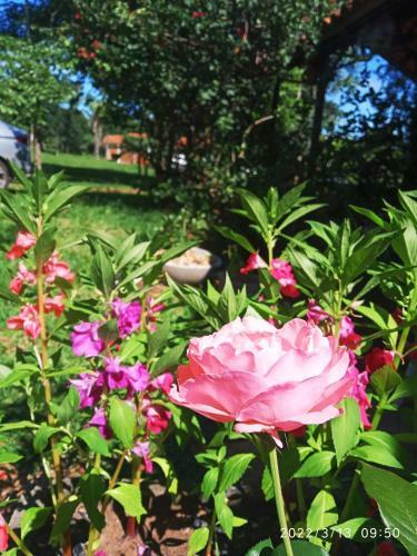 Posada Pousada Carmel Garden