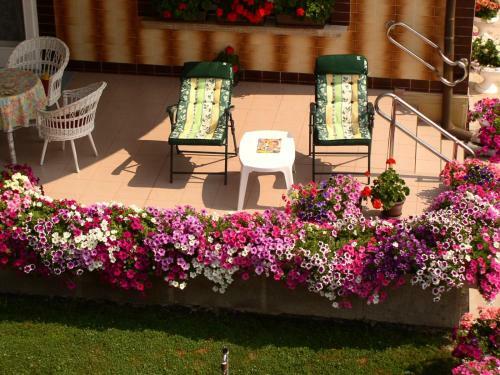 Am�lia Apartman
