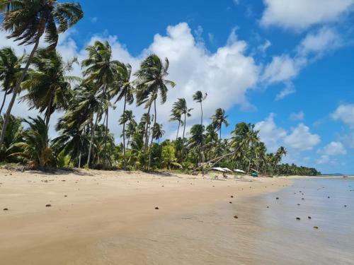 Vista Do Patacho, A 100m Da Praia Do Patacho