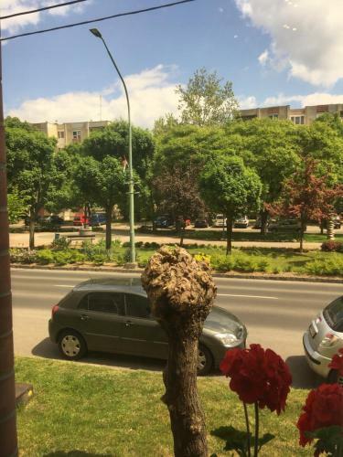 M�ra Apartmanh�z
