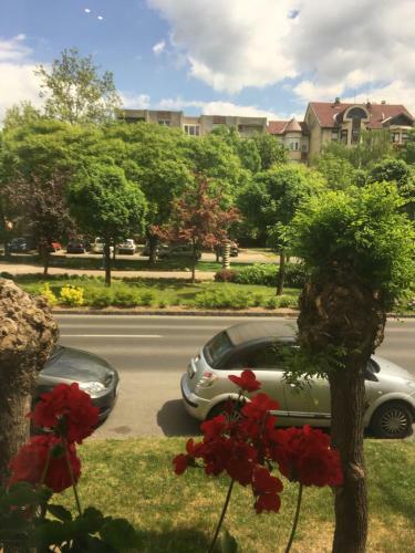 M�ra Apartmanh�z