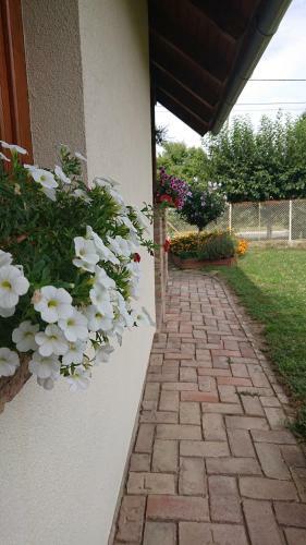 �gnes Apartman