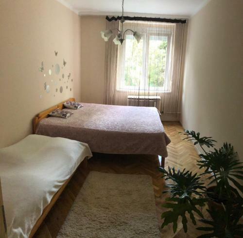 Arany Apartman Kaposv�r