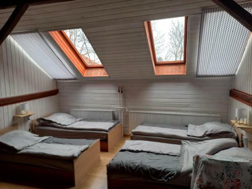 City Apartman