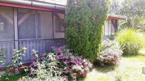 Tiszai V�ndor Apartmanh�z