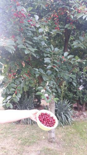 Tiszai V�ndor Apartmanh�z