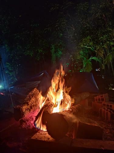 Bed & Breakfast Pedra Branca Eco Hostel E Camping