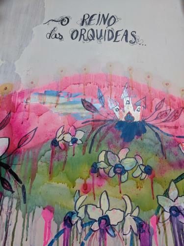 Bed & Breakfast Pedra Branca Eco Hostel E Camping