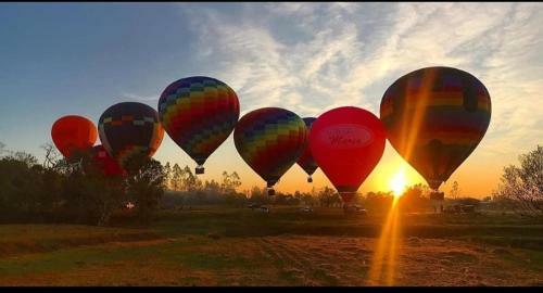 Coelho Recanto Dos Vales