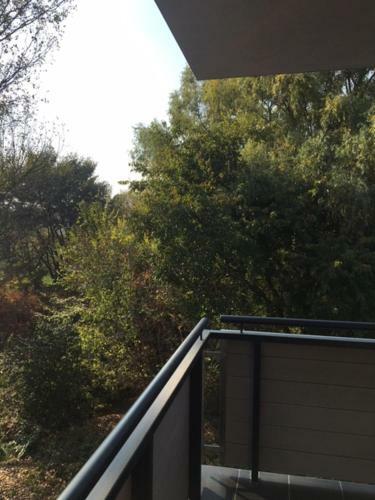Thermal Forest Apartment