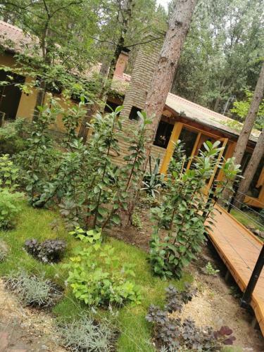 Bed & Breakfast Ambiente