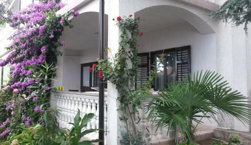 Apartments Golub