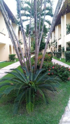 Apartamento Solar De Pipa Duplex Elegance