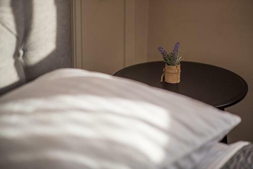 Luxury Apartment Imperia