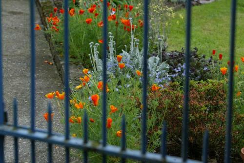 Gites Vall�e D'ossau - Les Jardins Du Cot