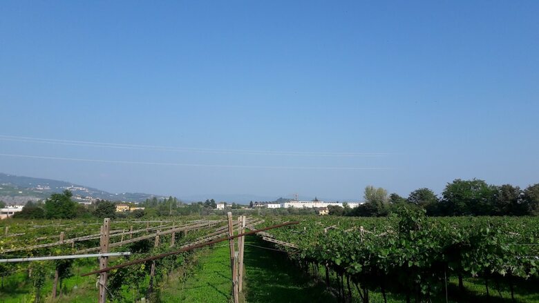 Agroturismo Agriturismo Camparella