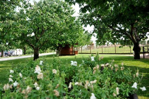Agroturismo Agriturismo Serena