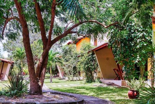 Apartamento 2 Quartos Equipado No Bosque Da Praia Flats - Pipa Natureza