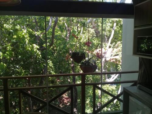 Apartamento Apto. Orchidea No Ubaia Residence 202