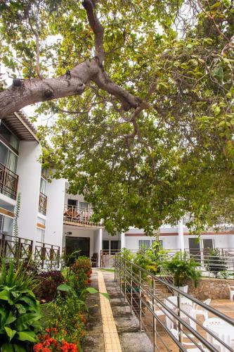 Apartamento Apto Rover 3 Ubaia Residence N 210