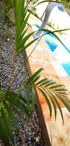 Pipa Centro Casablanca Casa C Piscina