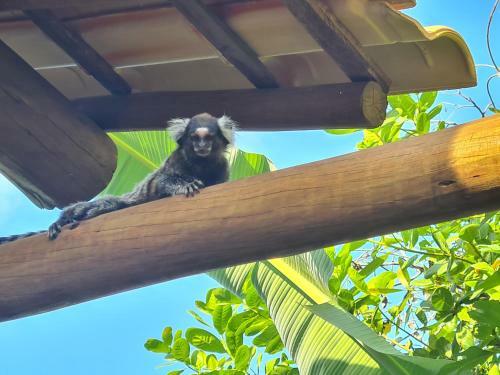 Villa Vila Nirvana Pipa