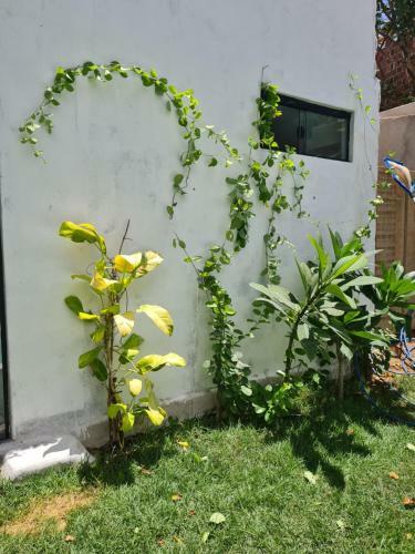 Villa Vila Nirvana Pipa