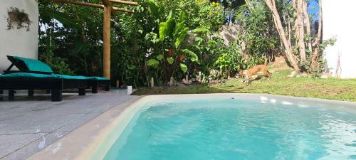 Villa Vila Nirvana Pipa