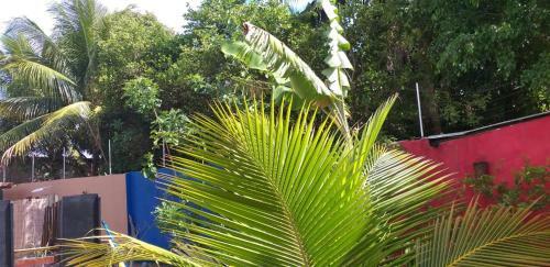 Apartamento Flat Laus