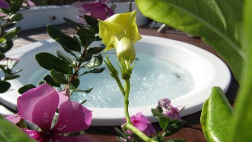 Apartamento Brisas Do Amor 131