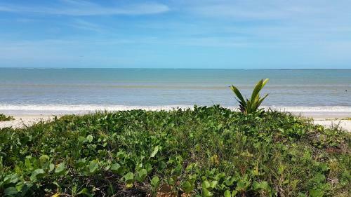 Apartamento Ondas Praia Resort