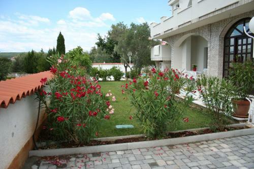 Apartment Tea With Private Pool