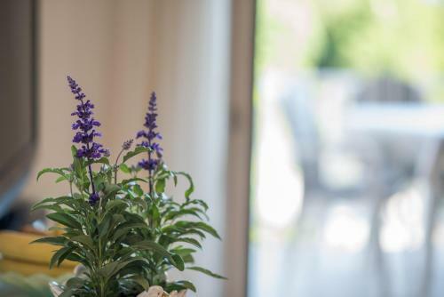 Apartments Ana S