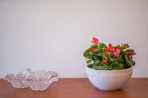 Apartments Ana S