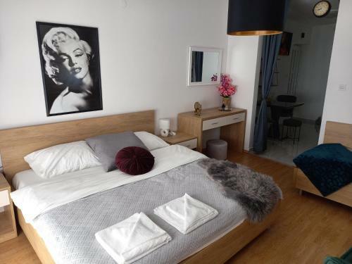 Studio Apartmani ?jarne?i??