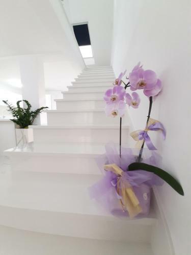 Apartamento Casa Aurelia - Aurelia Design
