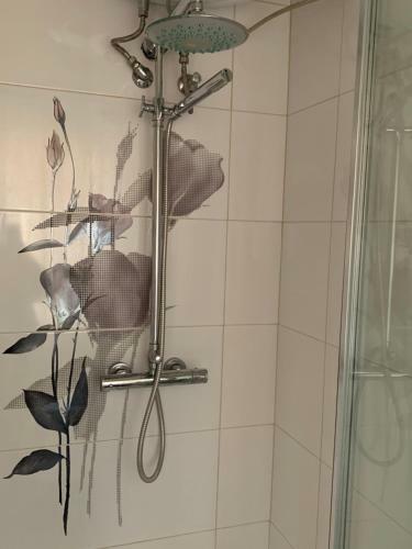 Apartamento �rp�dh�z