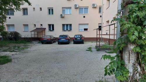 Ancsi Apartmant Kecskem�t