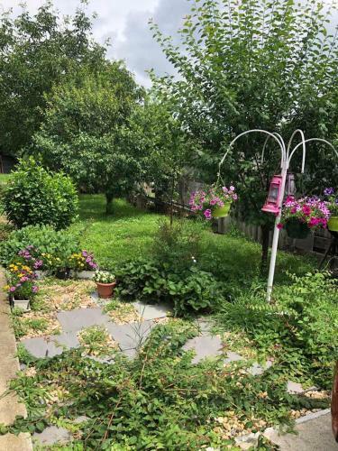 Apartamento �gi Fogad�