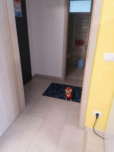 Orsi Apartman Kecskem�t