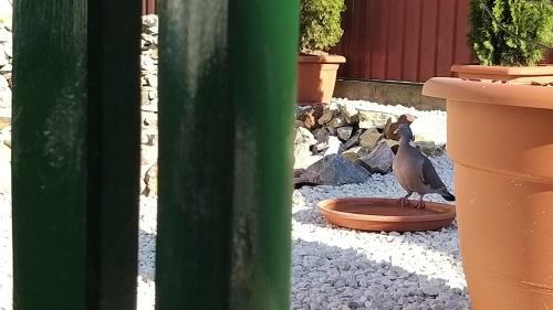 �denkert Apartmanh�z