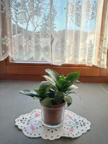 Apartamento 400 �ves H�z Vend�gh�z