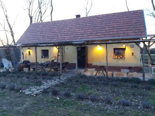 Tanya 360�
